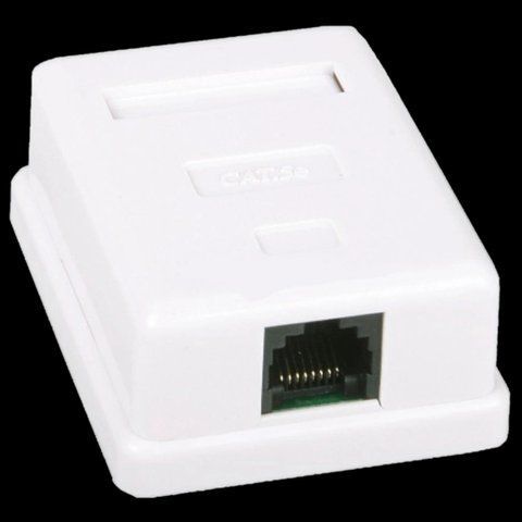 Kingda 1хRJ45 UTP Розетка комп'ютерна одинарна 99-00014513 фото