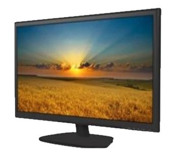 DS-D5022QE-B 22” LED Monitor 99-00000473 фото