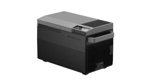 Холодильник EcoFlow Glacier ZYDBX100-EU фото